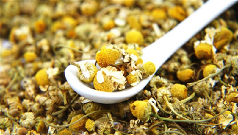 xamomili-ena-xeimoniatiko-rofima-me-thaumatourges-idiotites