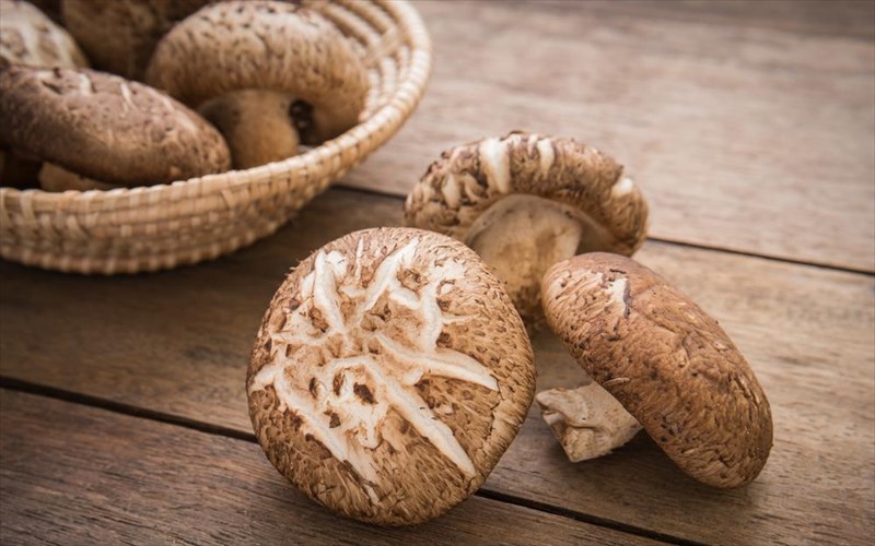 tonoste-to-anosopoiitiko-sas-me-manitaria-shiitake
