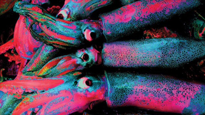 thalassa-kai-ouranos-smigoun-mesa-apo-to-fotografiko-fako