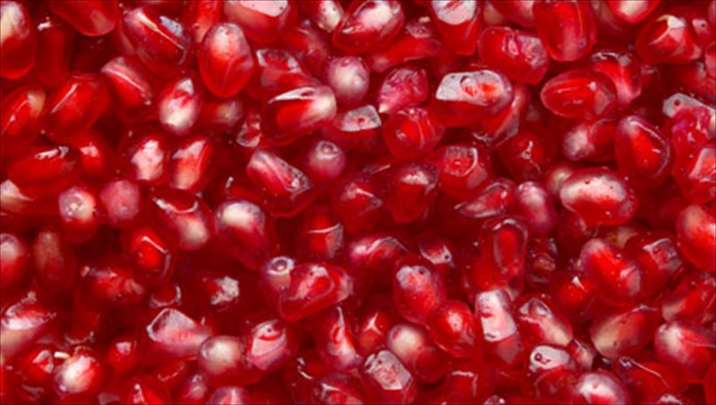 rodi-to-gouri-tis-ugeias-mas