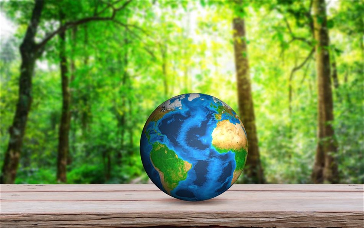 planitis-gi-prasino-oikologia