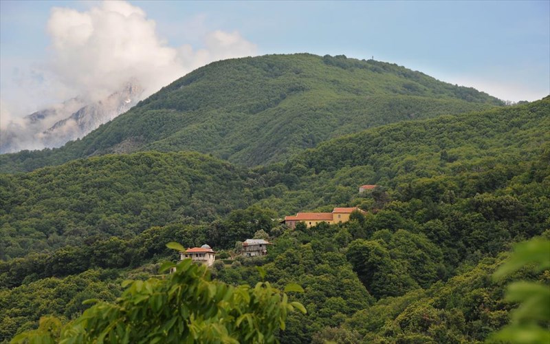 i-xersonisos-tou-atho-enthousiazei-tous-ollandous