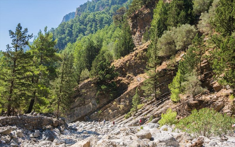 i-kriti-truponei-anamesa-stous-kaluterous-proorismous-gia-pezoporia