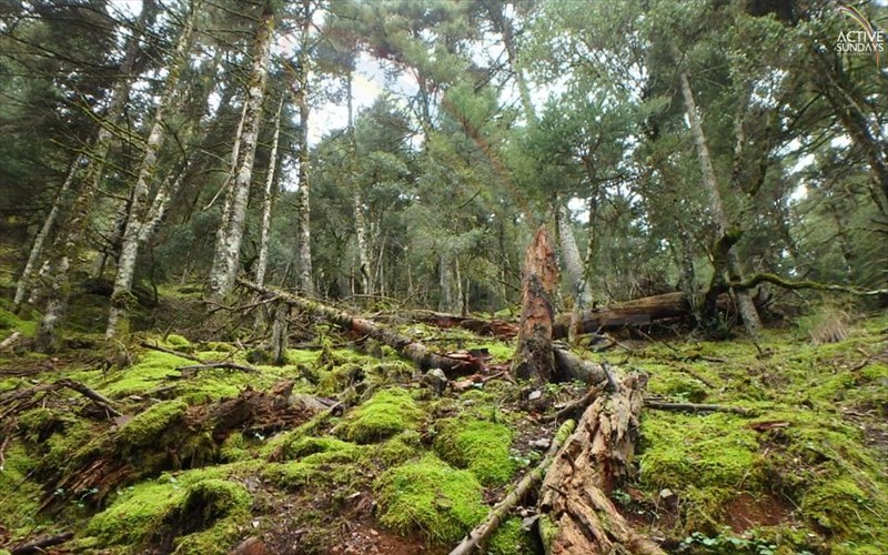 peraste-ton-agio-balentino-me-drasi-sto-menalon-trail