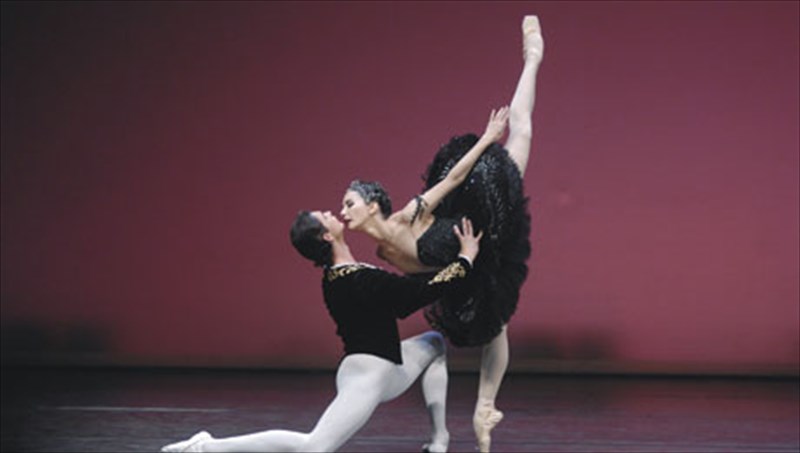 oi-kuknoi-epistrefoun-sti-xristougenniatiki-athina