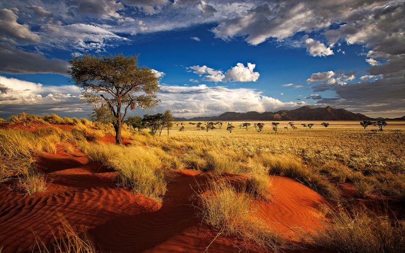 taksidi-se-oskarikes-topothesies