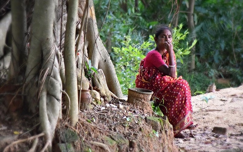 i-india-mesa-apo-to-fako-tou-basili-kritikou