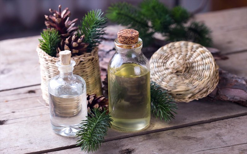 oi-euergetikes-idiotites-ton-aitherion-botanon-deutero-meros