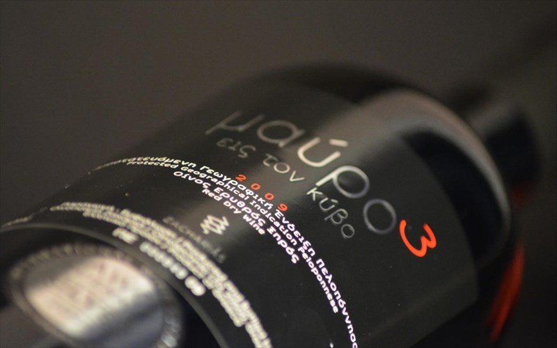 to-divino-wine-case-fernei-tous-ampelones-zaxaria-sto-potiri-sas