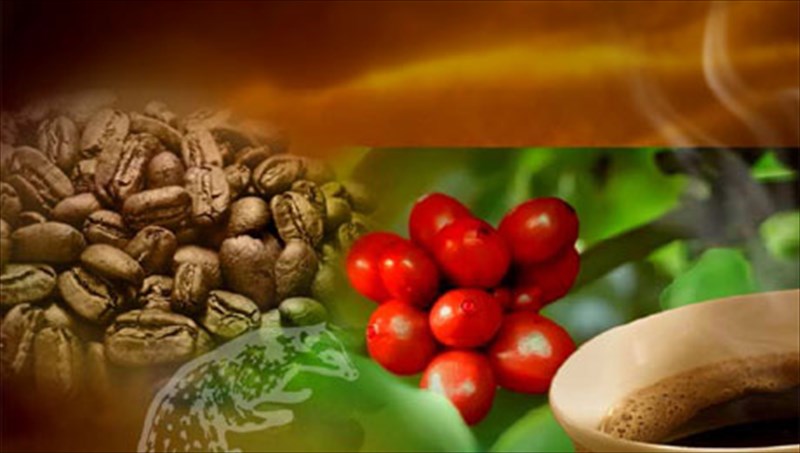 kserete-poios-einai-o-pio-akribos-kafes-tou-kosmou-pio-akribos-kafes-tou-kosmou