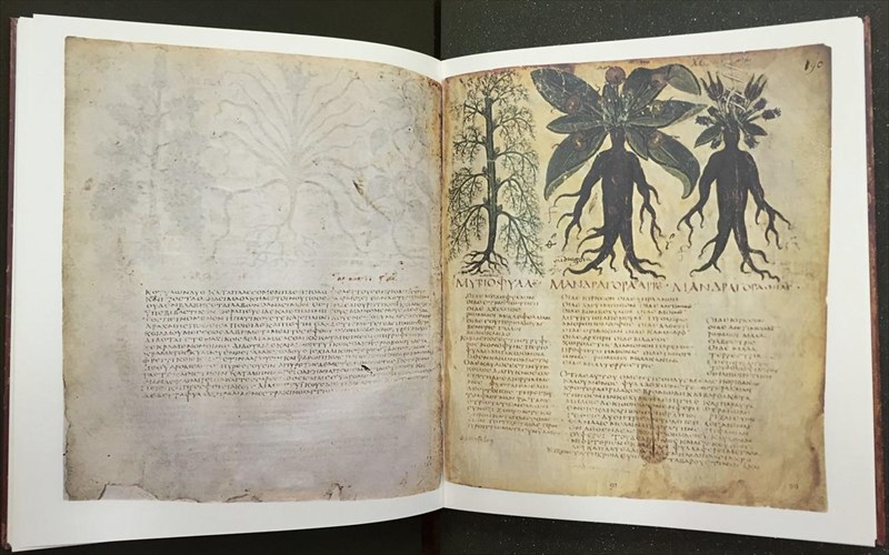 flora-graeca-i-gennadeios-bibliothiki-parousiazei-ena-spanio-thisauro-gia-tin-elliniki-xlorida