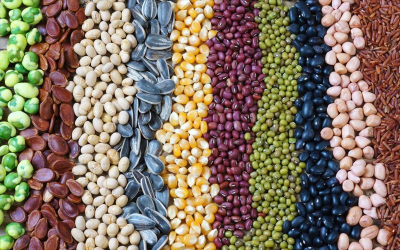 perissoteres-futikes-ines-mikroteros-kindunos-karkinou-tou-mastou