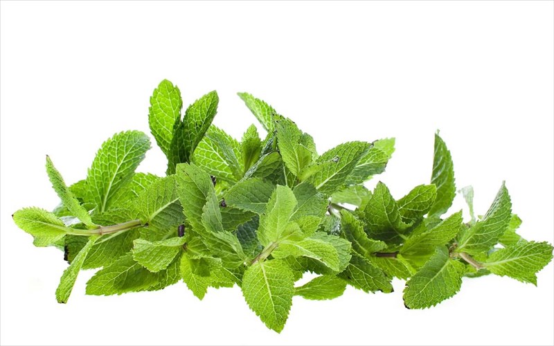 to-melissoxorto-kanei-kalo-stin-epidermida