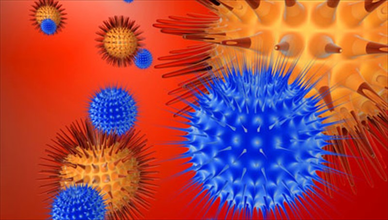 oi-8-exthroi-tou-anosopoiitikou-sustimatos-exthroi-tou-anosopoiitikou-sustimatos