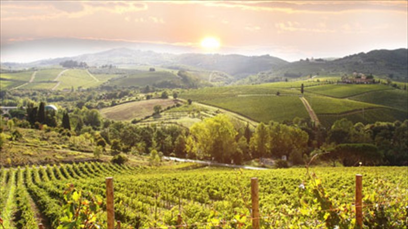 oi-5-anerxomenes-dunameis-ston-xoro-tou-krasiou-anerxomenes-dunameis-ston-xoro-tou-krasiou