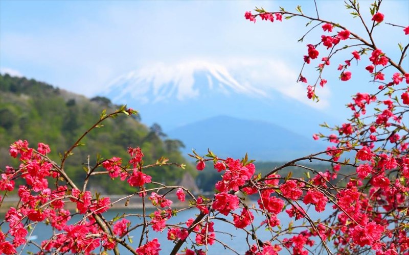 autoi-oi-5-proorismoi-murizoun-anoiksi-proorismoi-murizoun-anoiksi