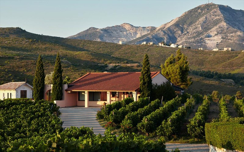 oikogeneiaki-geustiki-apodrasi-sti-fusi-me-protagonisti-to-krasi