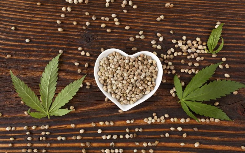 pagoto-me-kannabi-to-neo-gelato-pou-anastatonei-tous-italous