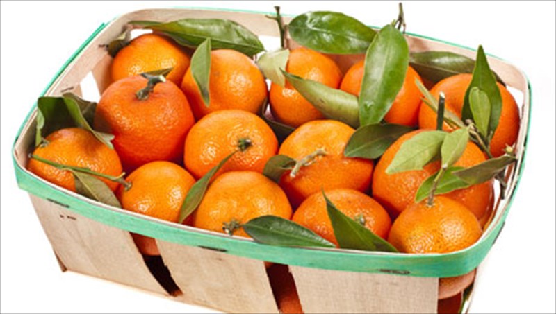 oi-uper-trofes-tou-ianouariou