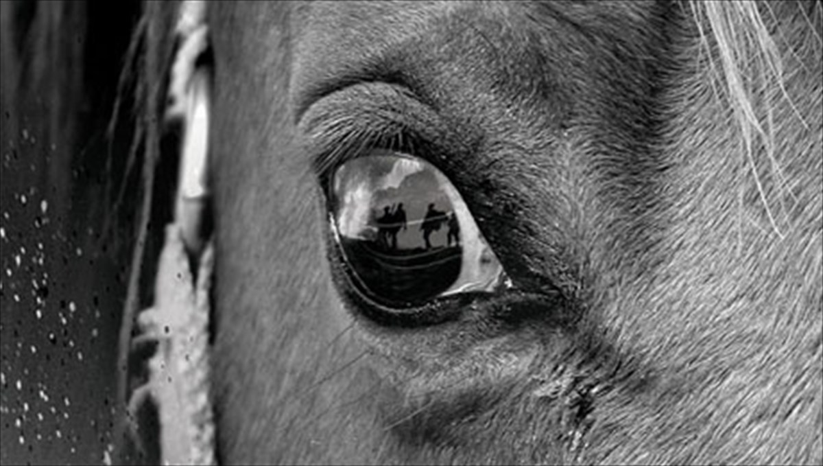 stin-proti-grammi-to-alogo-tou-polemou