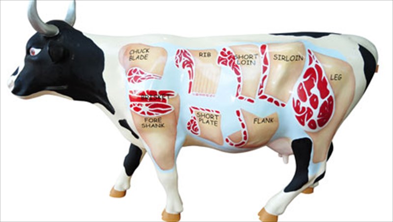 i-anatomia-enos-mosxariou