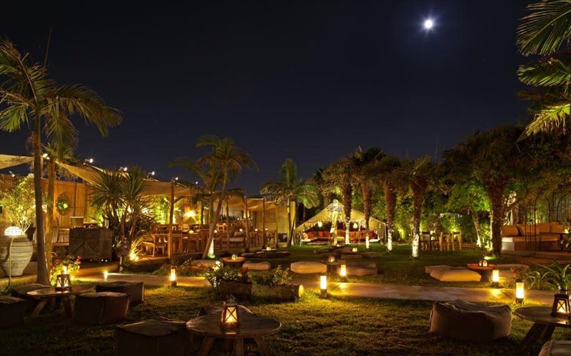 piperates-bradies-sto-balux