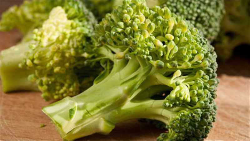 mprokolo-o-prasinos-summaxos-tis-ugeias-mas-prasinos-summaxos-tis-ugeias-mas