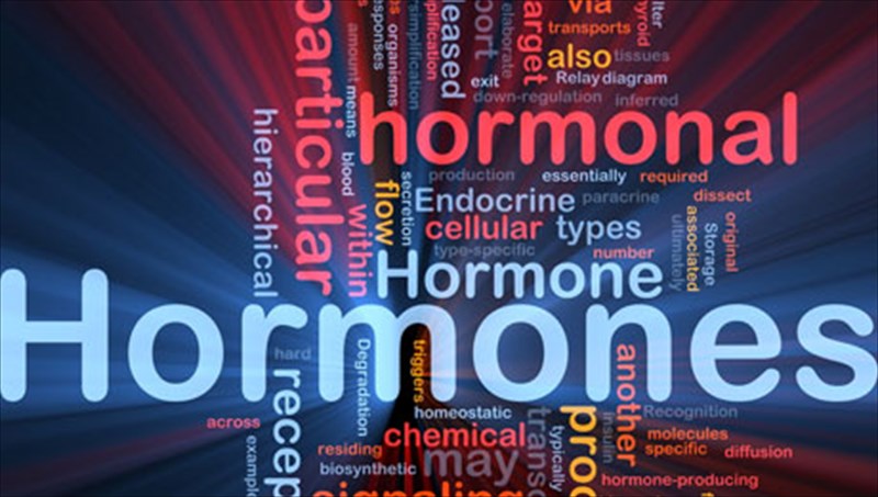 pos-epireazoun-oi-ormones-to-somatiko-mas-baros