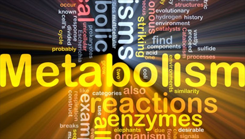 doste-ruthmo-sto-metabolismo-sas-kai-xaste-ta-peritta-kila