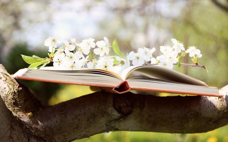 ta-biblia-tis-ebdomadas