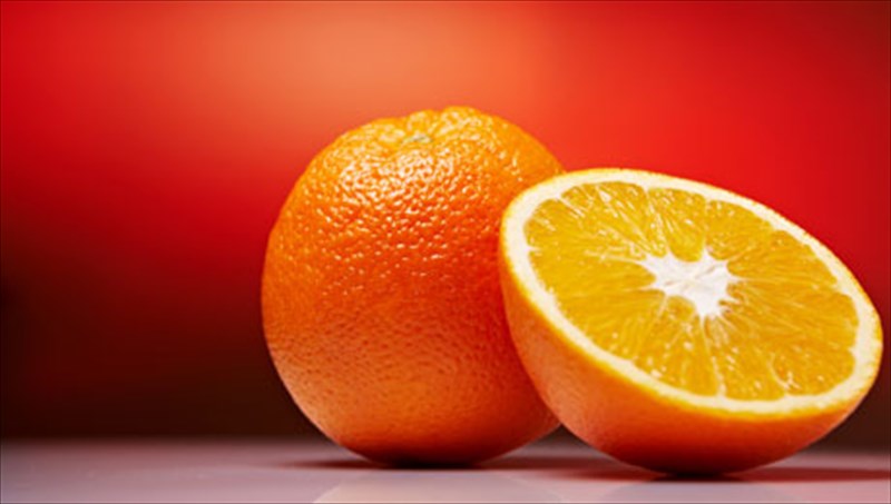 oi-6-trofes-aspida-apenanti-sto-agxos-trofes-aspida-apenanti-sto-agxos