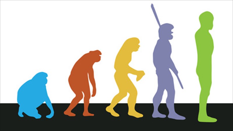 o-anthropinos-zoologikos-kipos-tou-nt-morris