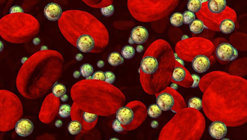 ta-12-tips-gia-na-auksisete-to-metabolismo-sas