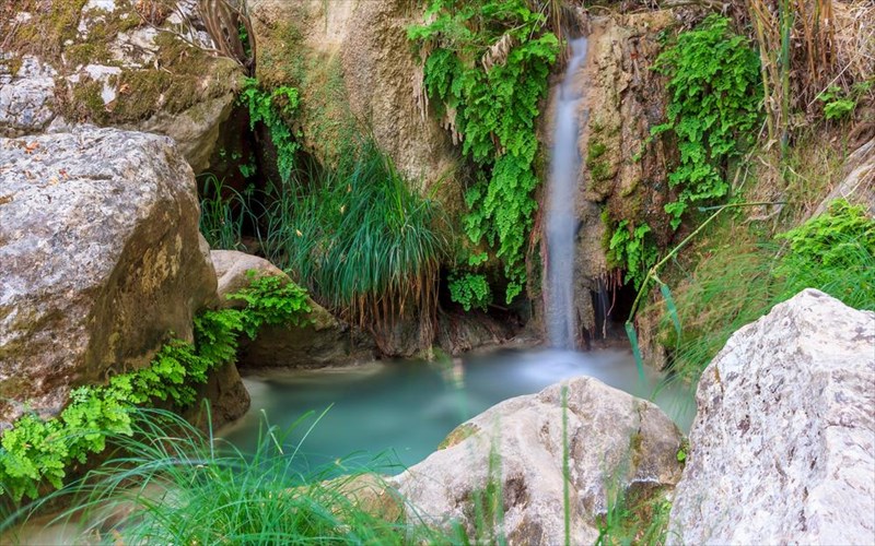 active-bouties-sto-polulimnio-kai-ti-boidokoilia