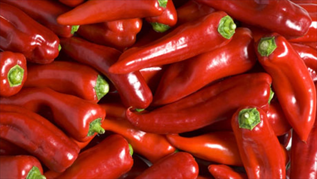 xaste-eukolotera-baros-me-ti-boitheia-5-trofon-trofon