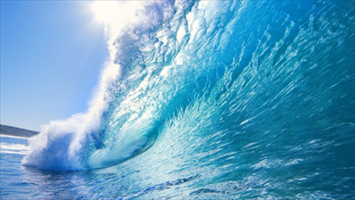 enoxa-mustika-se-sagineutika-paixnidia-epibiosis