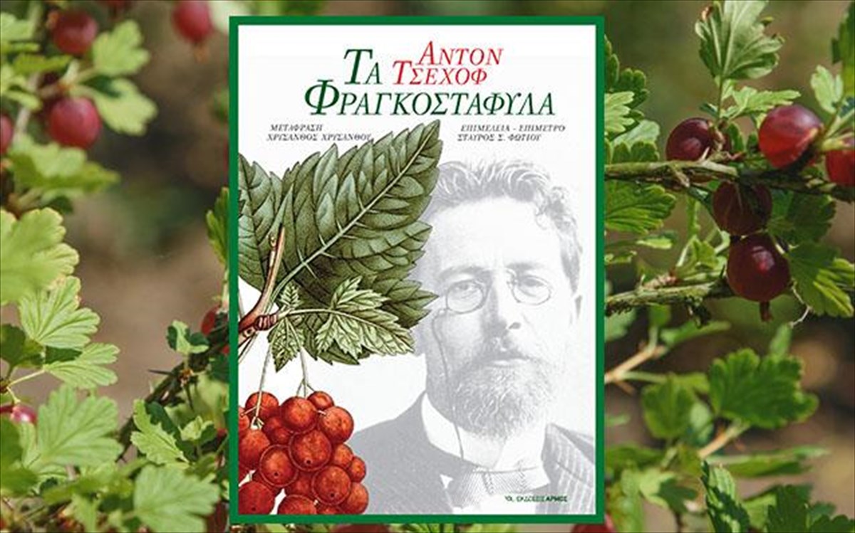 tsexof-fragkostafula