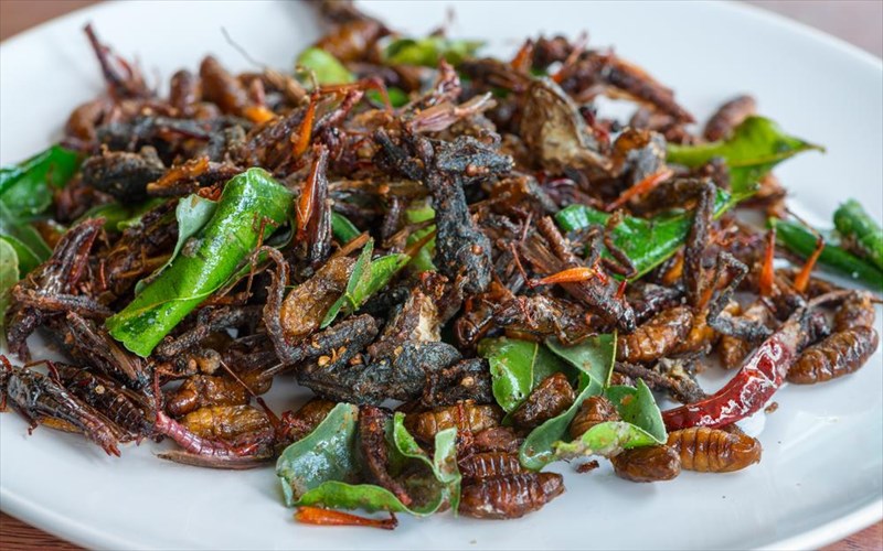 auta-ta-estiatoria-kanoun-ta-entoma-nostima