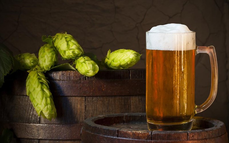 ta-sustatika-tis-mpuras-lukiskos