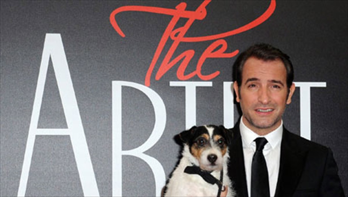 who-is-who-zan-ntizarnten