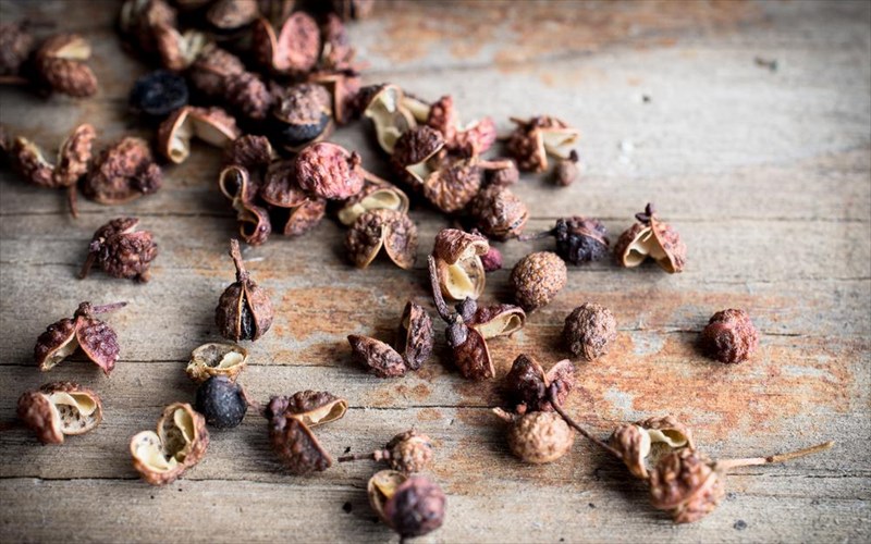 ta-mustika-sustatika-gia-5-diaforetika-eidi-asiatikis-kouzinas-diaforetika-eidi-asiatikis-kouzinas