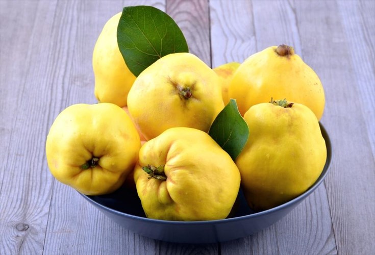 ora-gia-kudoni-6-logoi-gia-na-to-protimisete-logoi-gia-na-to-protimisete