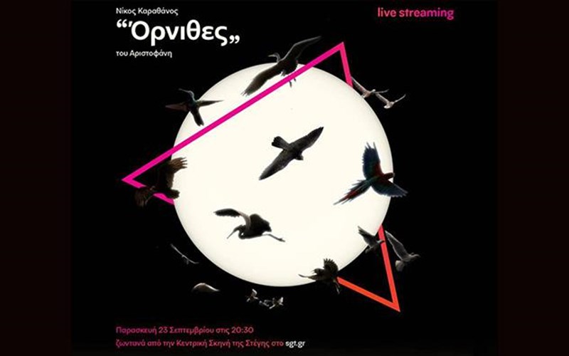 blepoume-tous-ornithes-zontana-apo-to-spiti