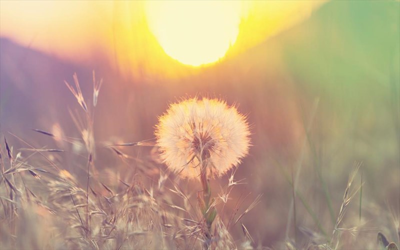 lathi-pou-kanoume-otan-theloume-na-allaksoumeti-zoi-mas-kai-pos-ta-apofeugoume