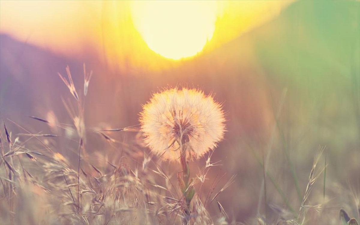 ilios-kleftis-louloudi