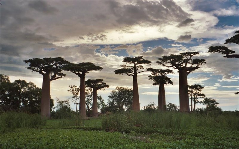 taksidi-sti-madagaskari-kai-ta-kanaria-nisia-me-tin-travel-blogger-dreamista