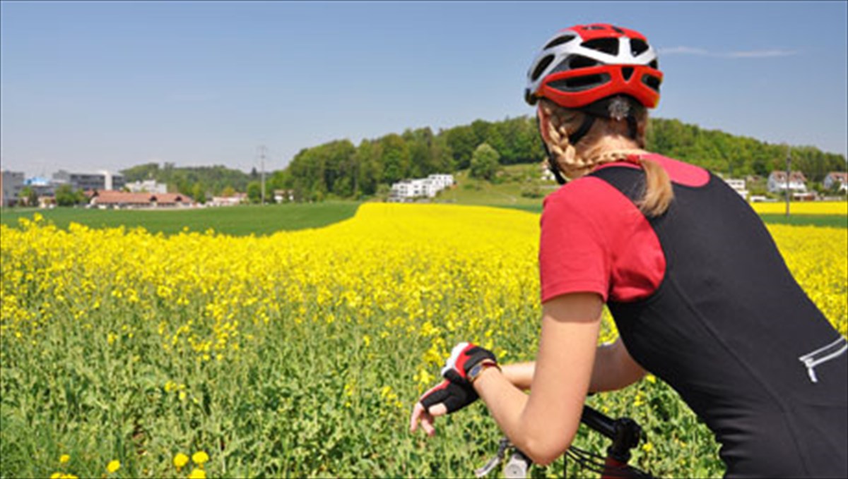 podilato-kai-asfaleia-merikes-simantikes-sumboules