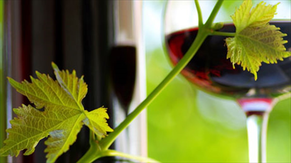 oi-8-gnostoteroi-muthoi-gia-to-krasi-gnostoteroi-muthoi-gia-to-krasi