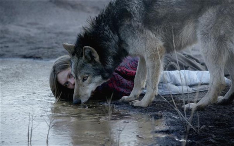 to-wild-einai-mia-akraia-istoria-gunaikeias-xeirafetisis