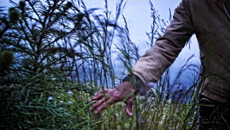 o-tuflos-psaras-to-brabeumeno-ntokimanter-pou-sugklonise